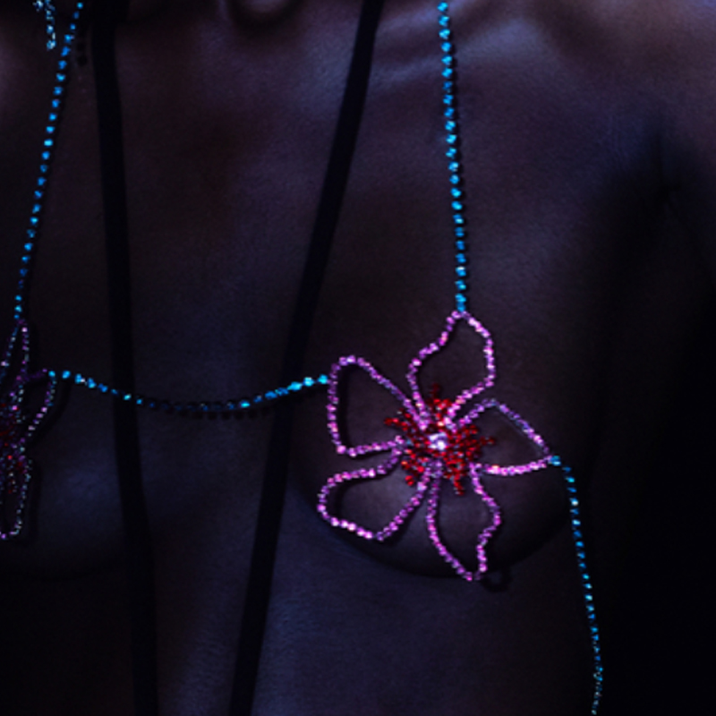Stonefans-Soutien-gorge à fleu - Women'S Fashion Jewellery avis et prix